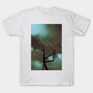 Witchy wicked tree T-Shirt